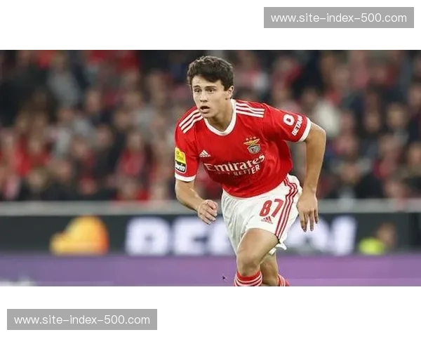 若昂·内维斯出球速度获好评 葡萄牙新星比赛节奏掌控成熟