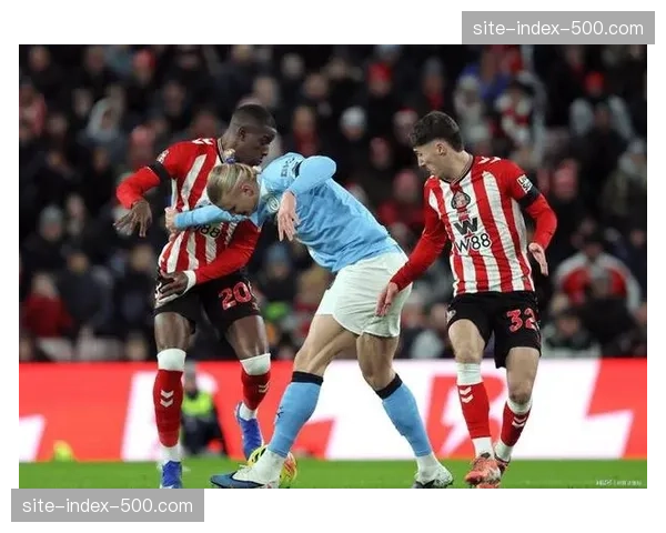 富勒姆威尔逊内切低射完成反超 个人赛季联赛进球达到九粒